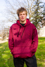 Load image into Gallery viewer, Big & Tall - Performance Fashion Forward Plush Fleece - Pullover Hoodie